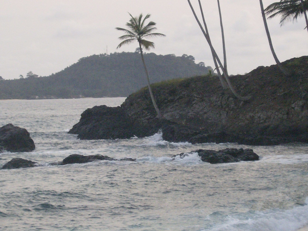 Photo 23
