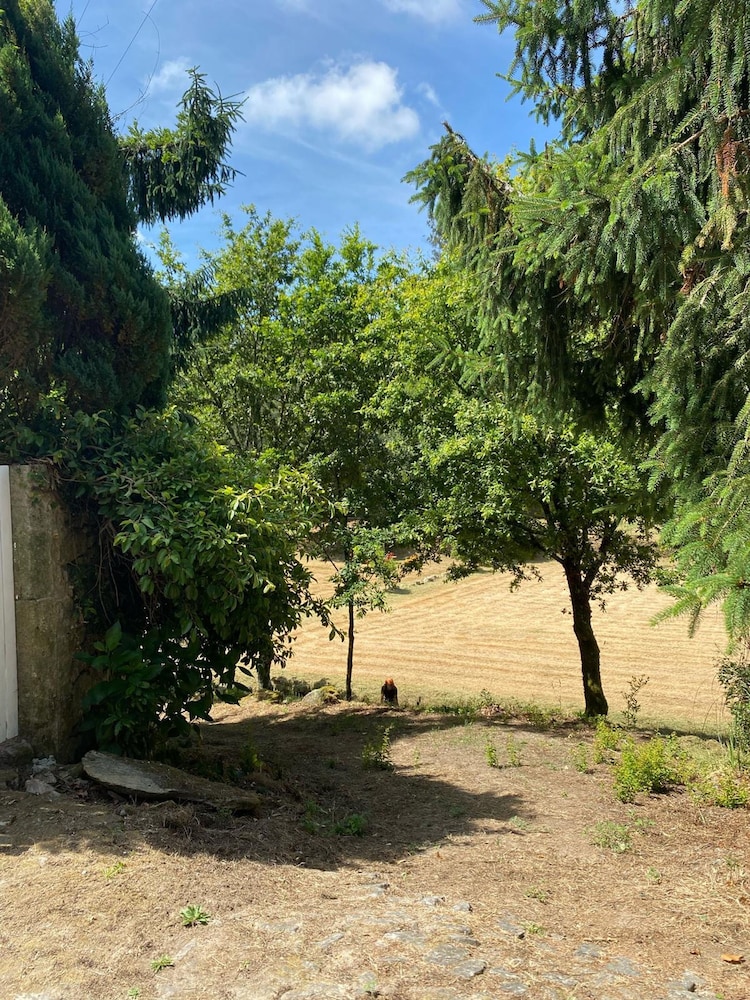 Paredes de Coura Villa