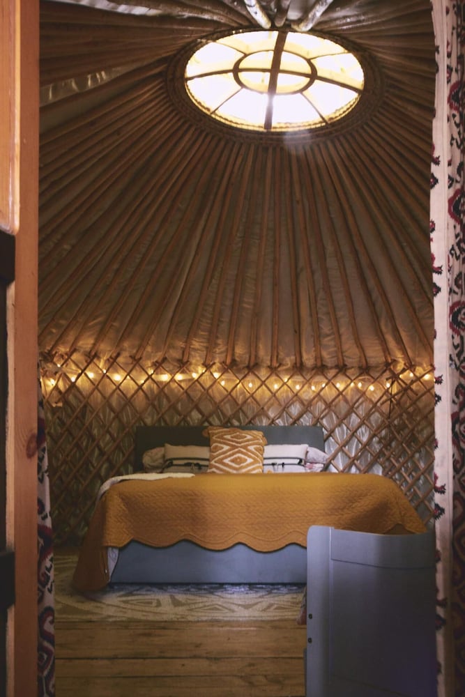Mushroom Yurt set in 4 Acres of Woodland and Lakes view 3
