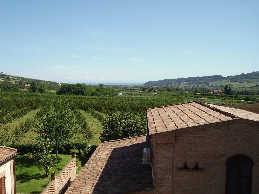 Photo 45