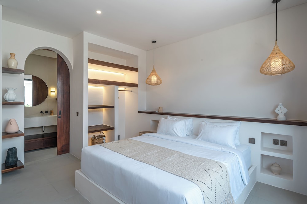 Nova Oasis 1