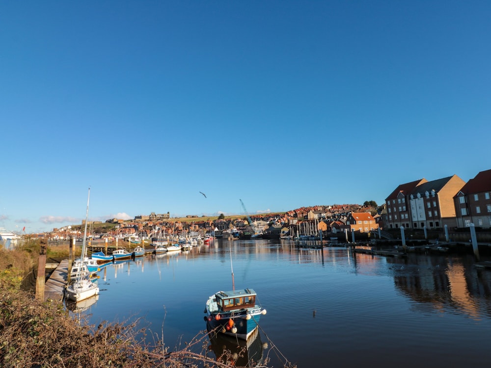 Whitby Waves