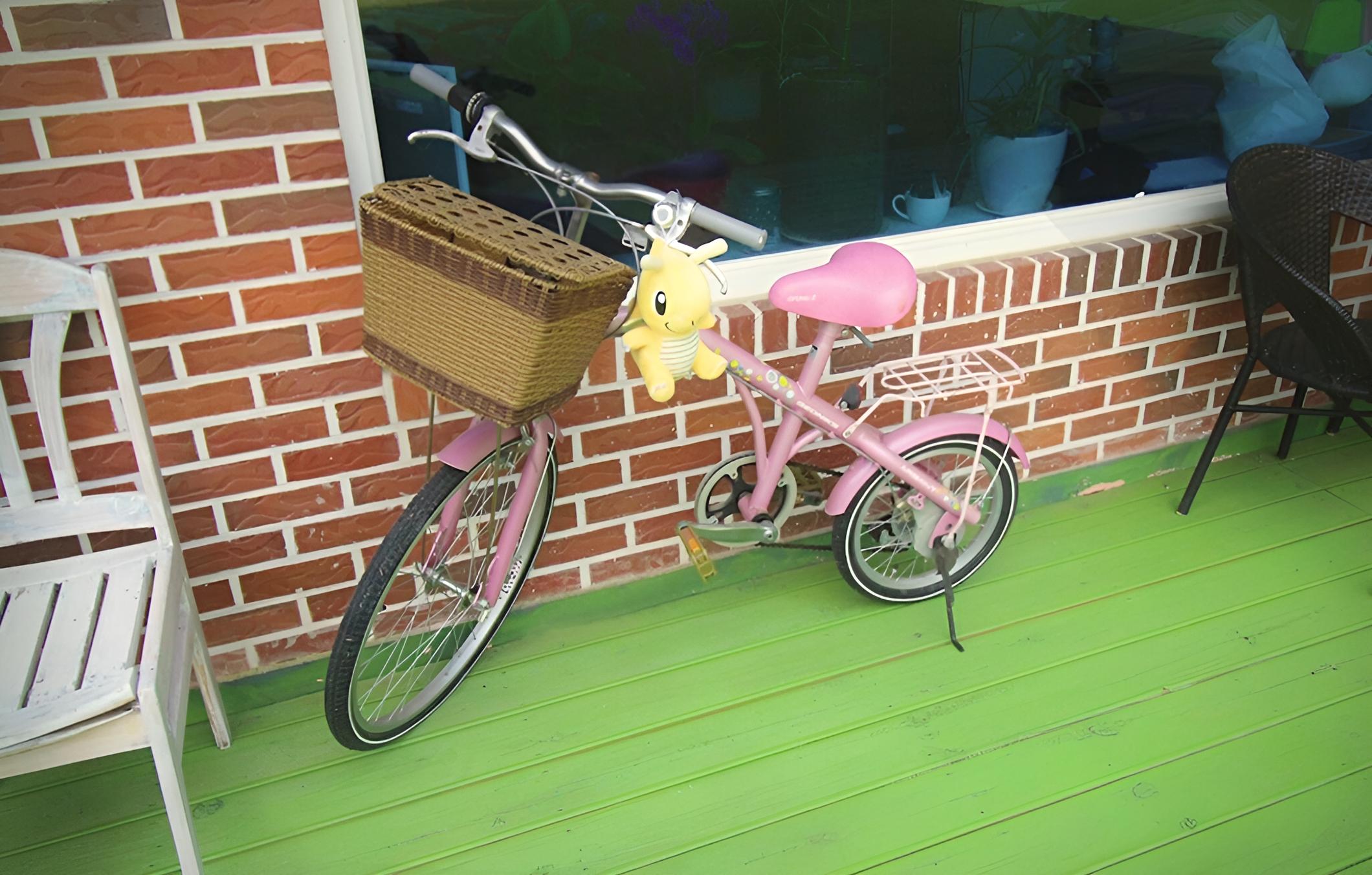 Photo 51