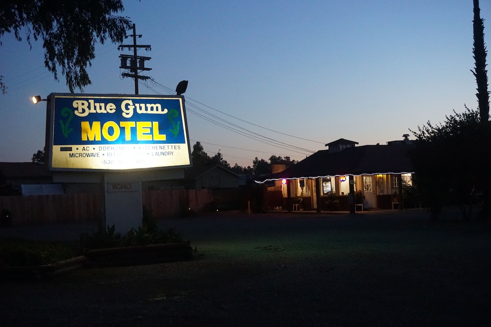 Willows Vacations - Blue Gum Motel - Property Image 38