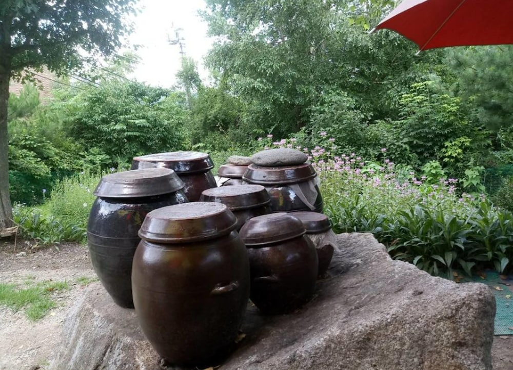 Nadeuli Pension