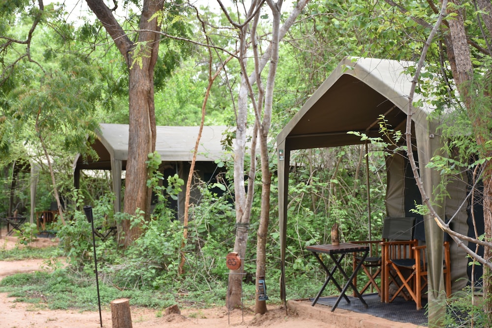 Big Game Yala by Eco Team