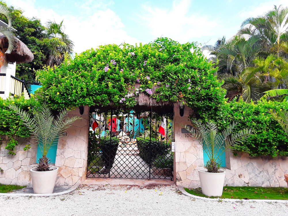 Casa Gatos