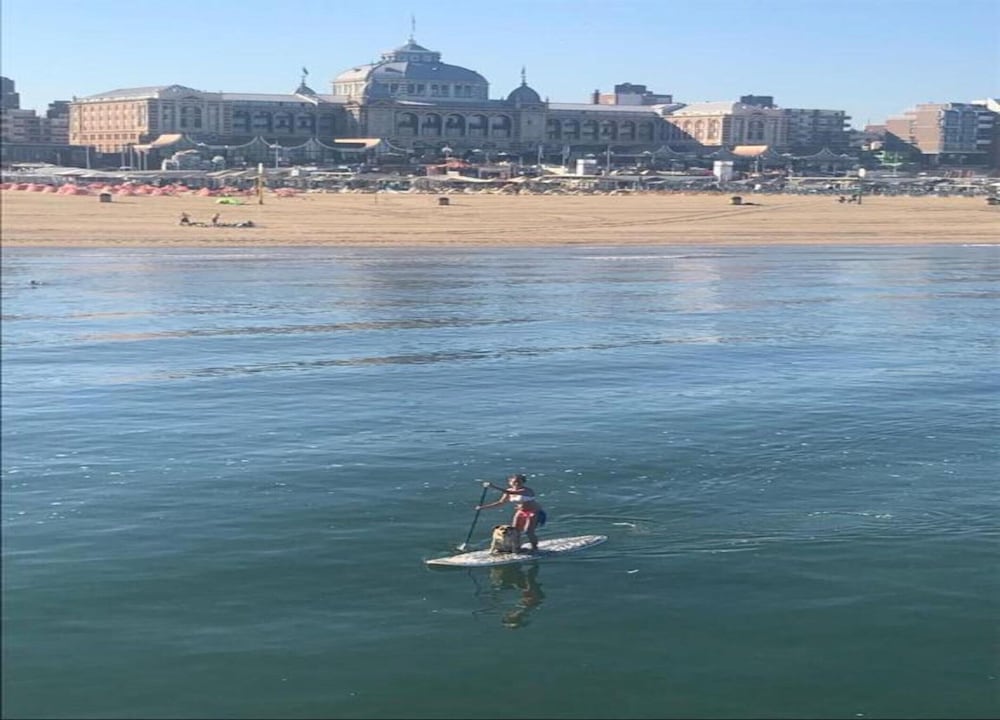 Seaside Gem in Scheveningen