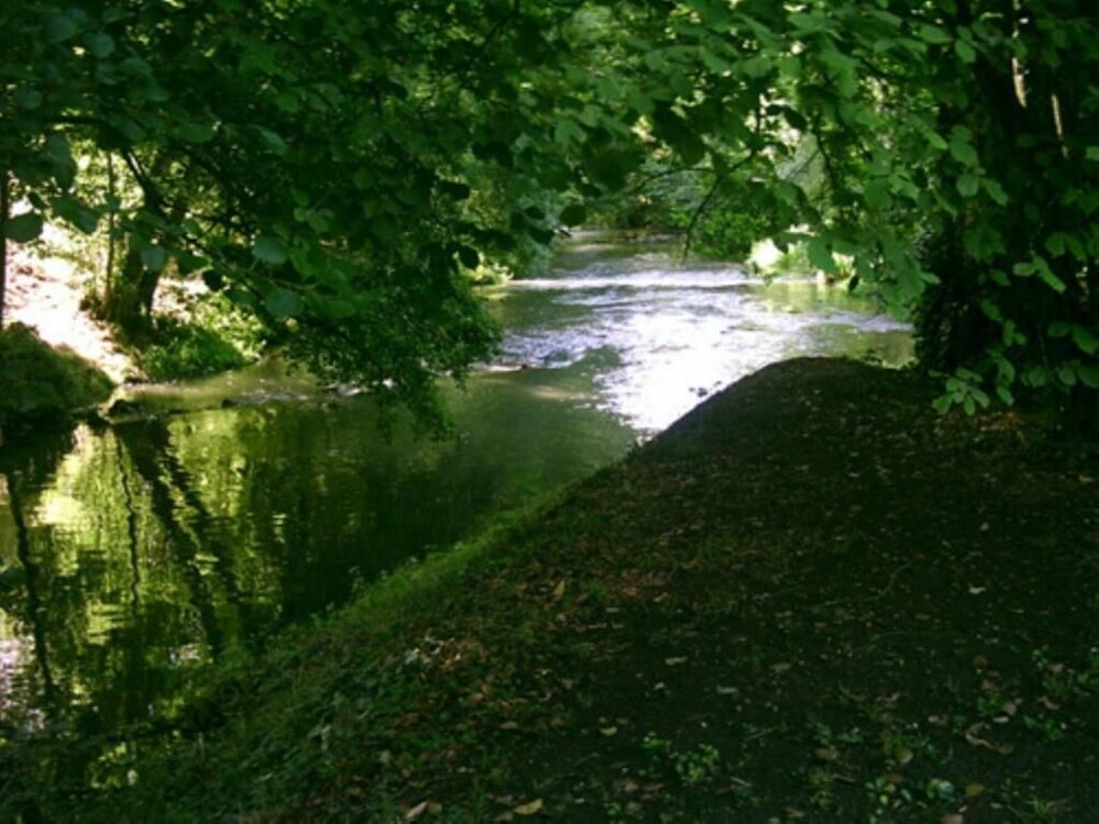 Photo 25