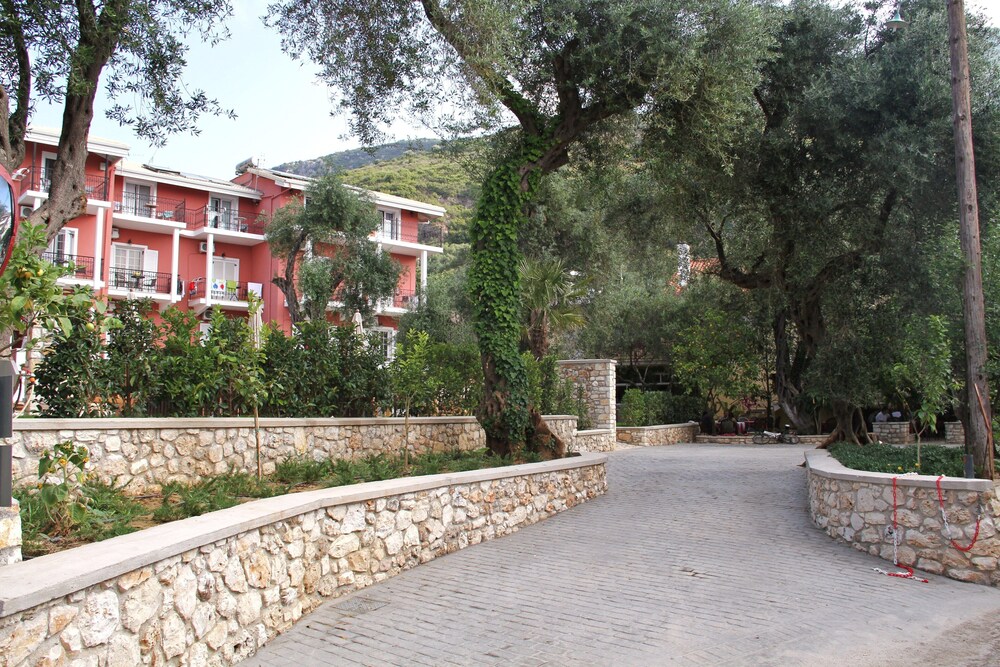 Photo 7