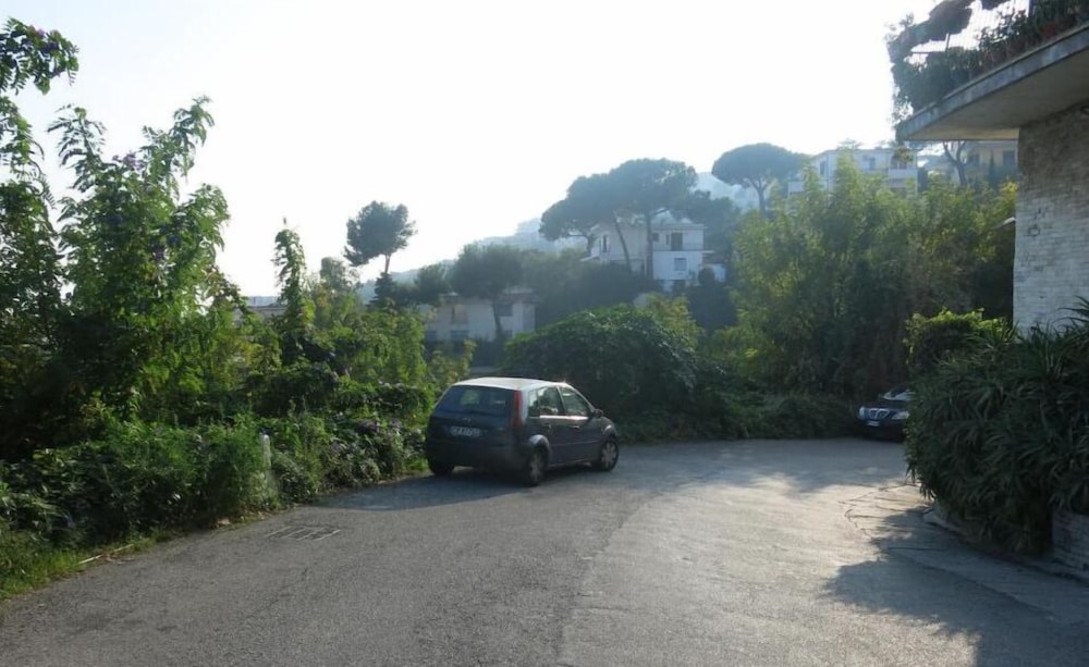 Nido Dei Gabbiani