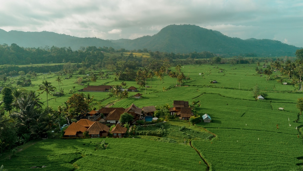 Photo 55