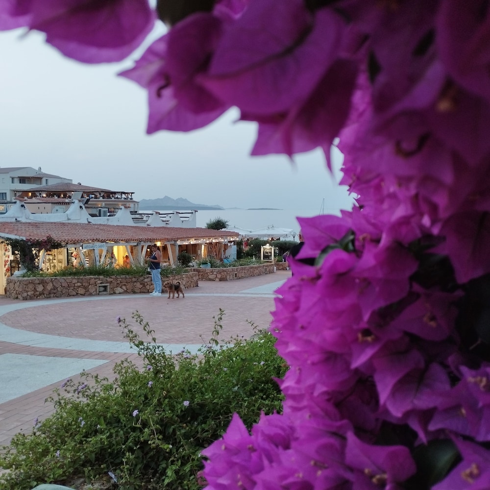 Arzachena Vacations - Seaside Apartment Baja Sardinia - 6pl August - 250 m From Smeraldo Beach ! - Property Image 7