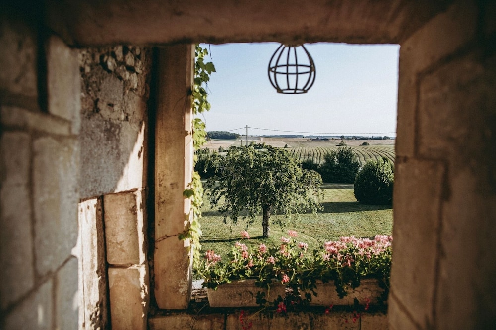 CHATEAU DE PUYRIGAUD - Property Image 15