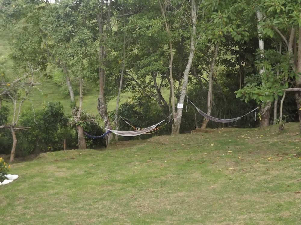 Hostal El Zorzal