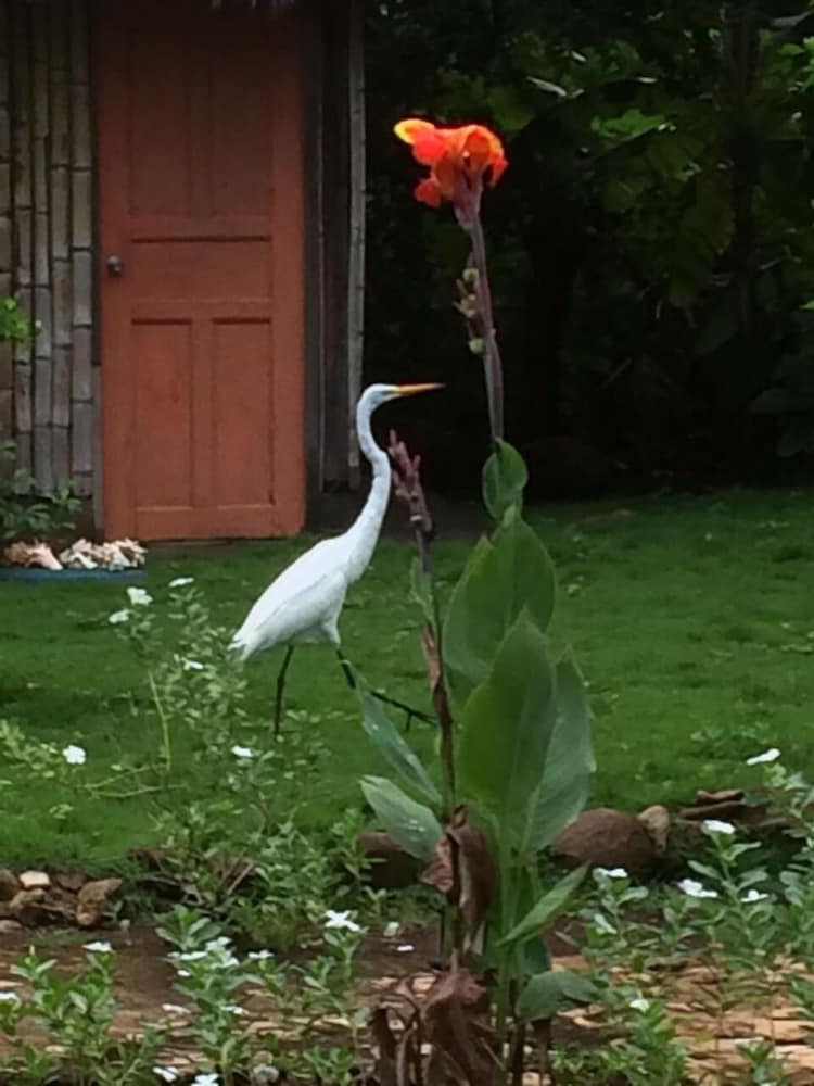 Photo 38