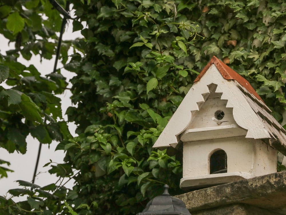 Grange Cottage