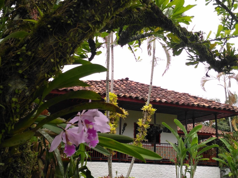 Finca Brisas del Ensueño, Armenia Quindio