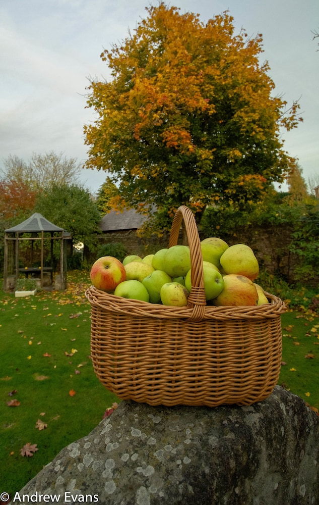 Lea House Bed and Breakfast