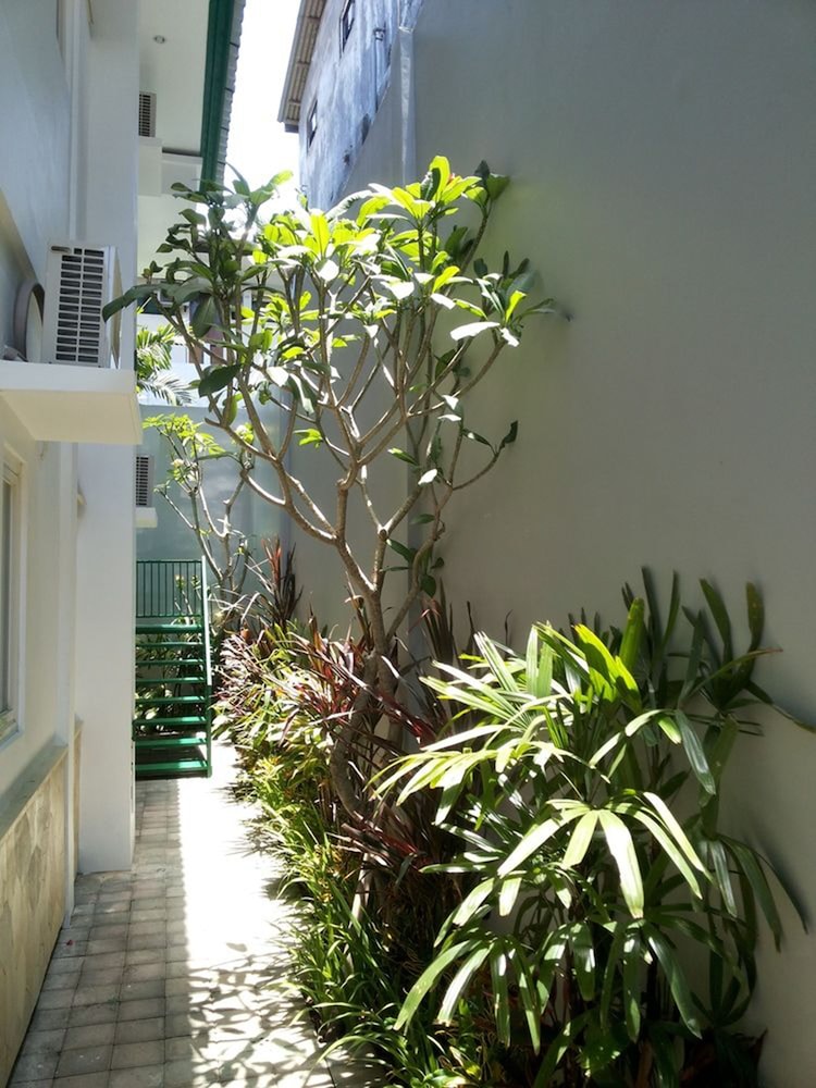 Photo 25