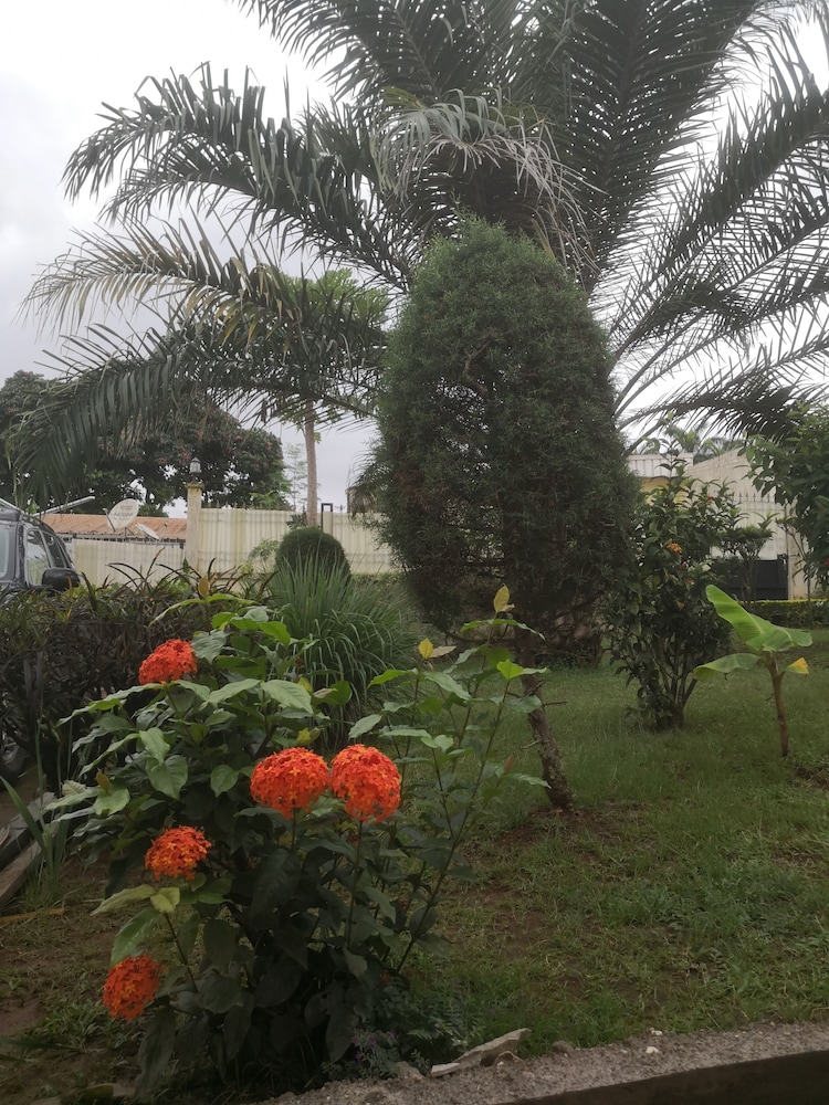 Dans un jardin au centre ville