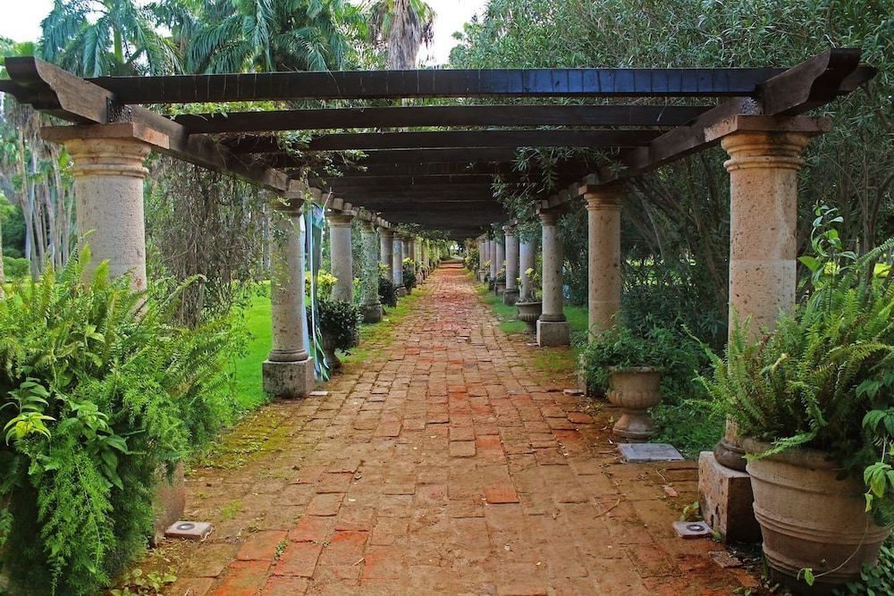 Photo 25