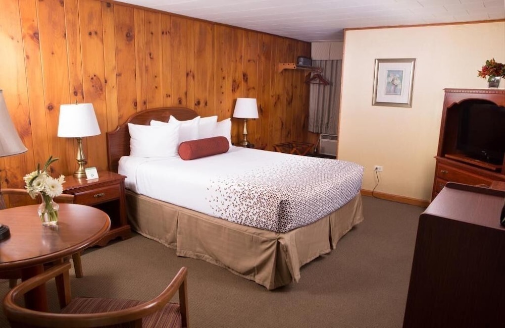 Knotty Pine