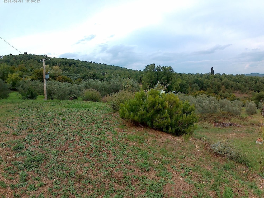 Lippianaccio en Bucine