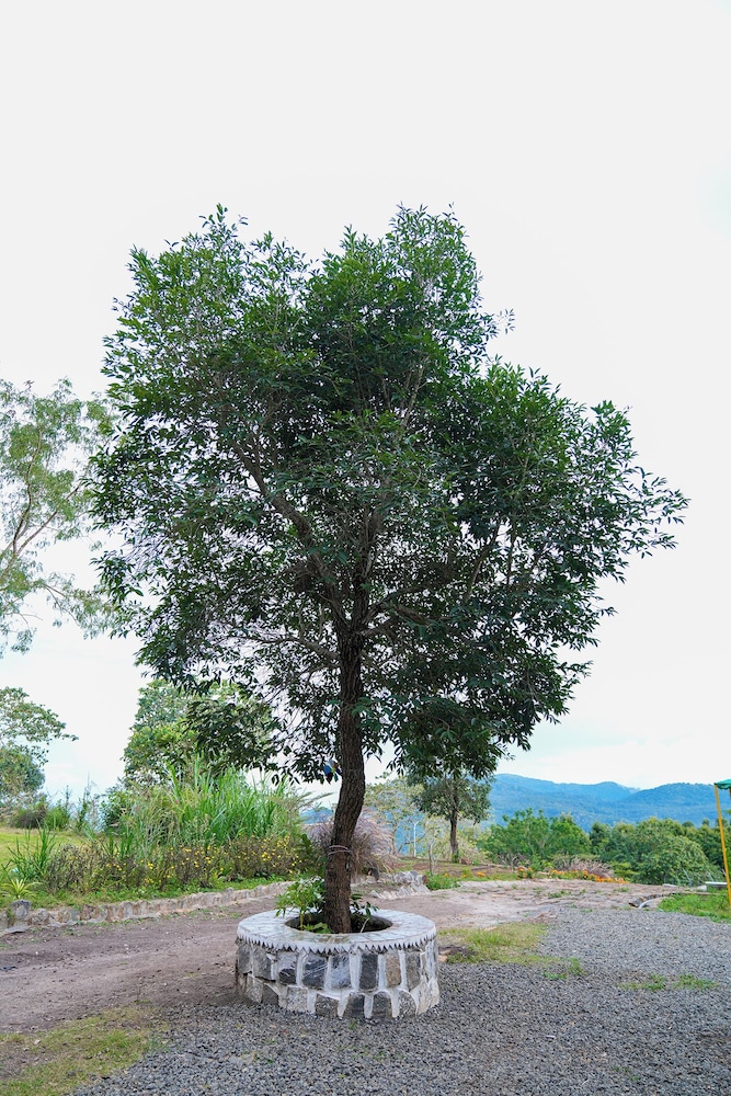 BlueHill Lotus Holistic Wellness Village