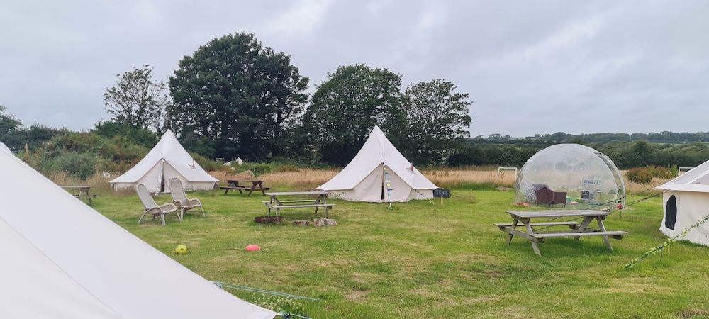 Cozy Dog Friendly Hot Tent With Log Burner & Logs