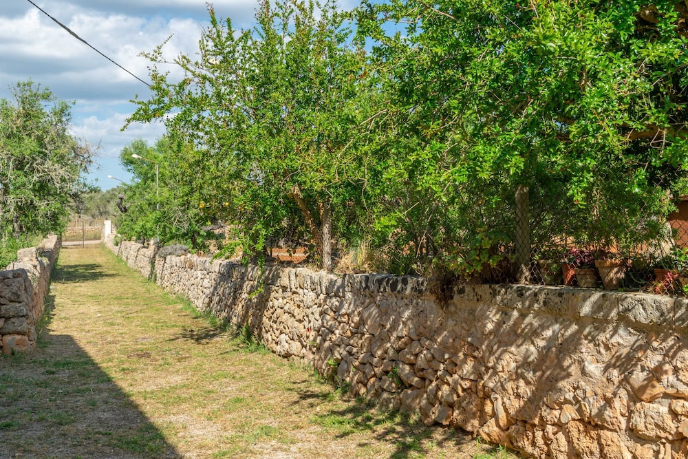 Can Fiolet in Algaida