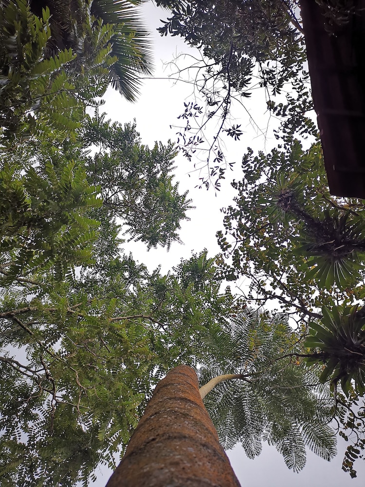 Las Cabanas