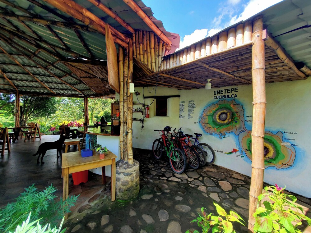The Jungle
