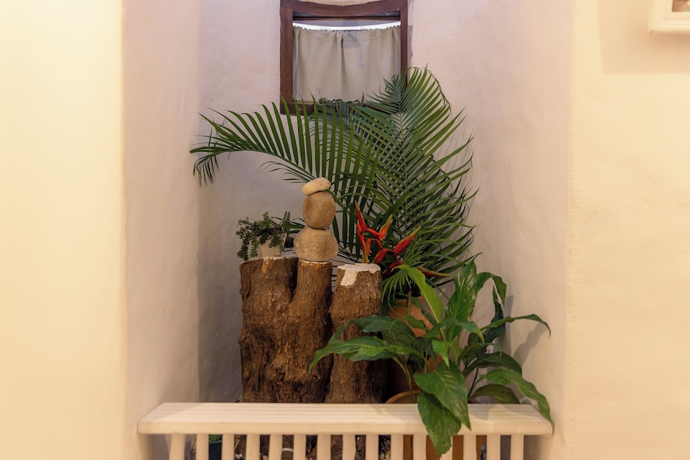 Serendipity Trancoso