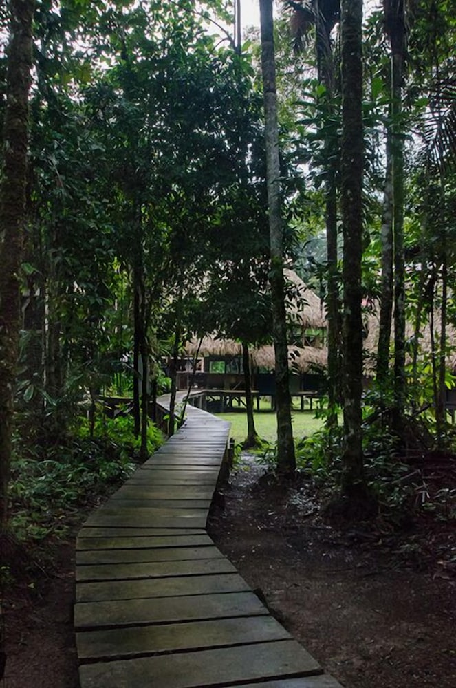 Jamu Lodge