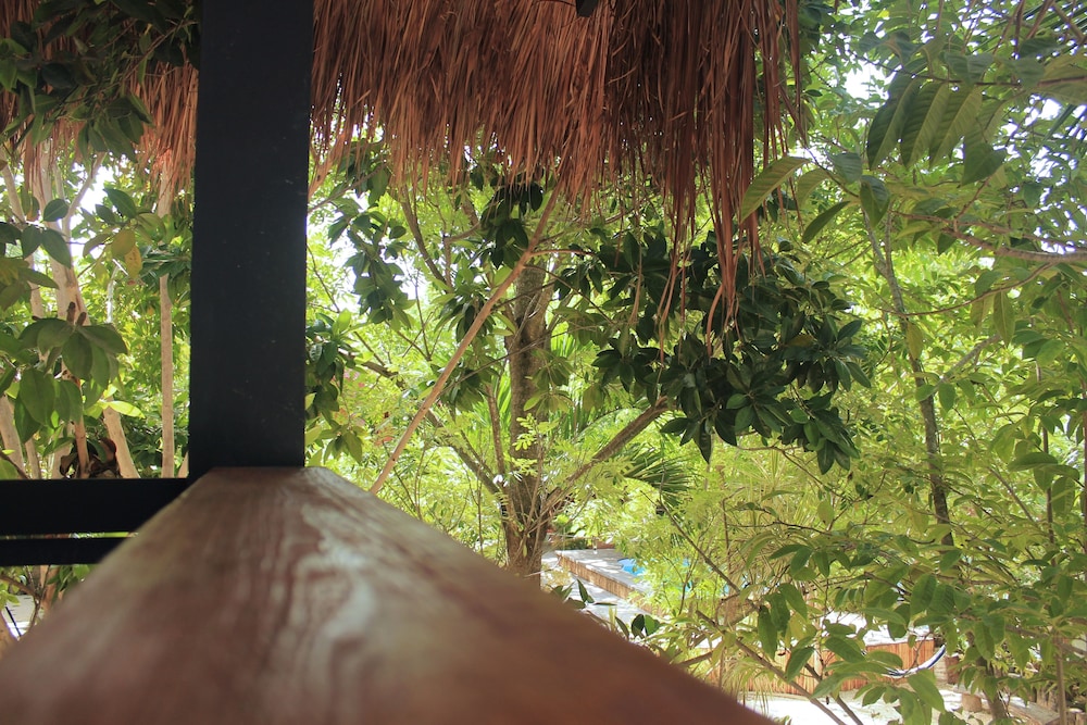La Negrita Hotel - Adults Only
