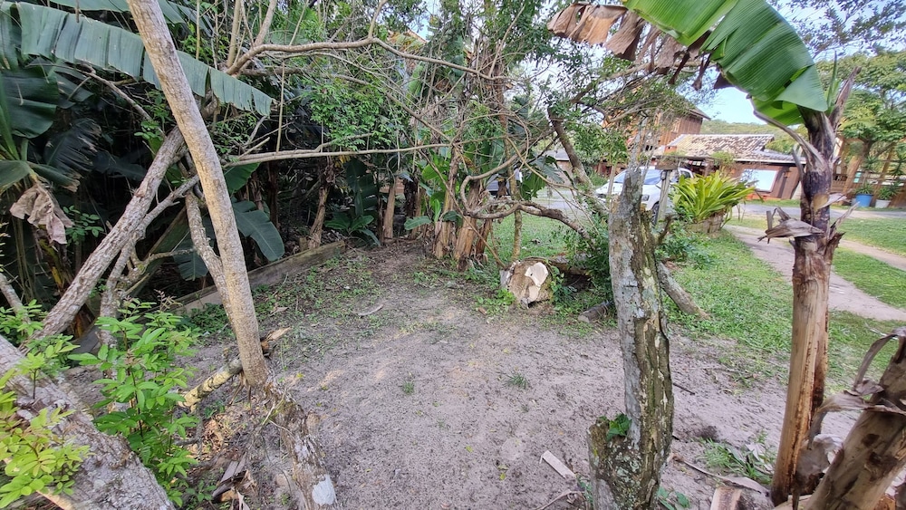 Photo 45