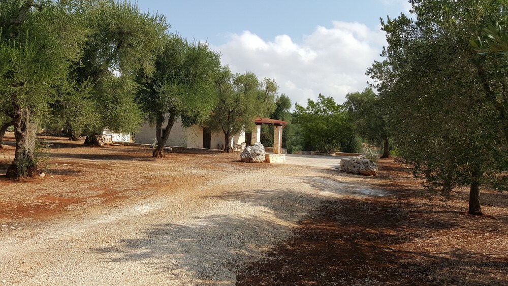 Photo 23