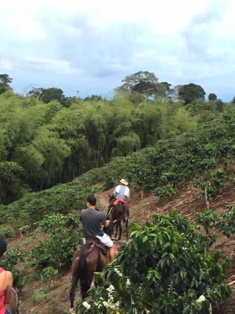 Finca Agroturistica Alejandria