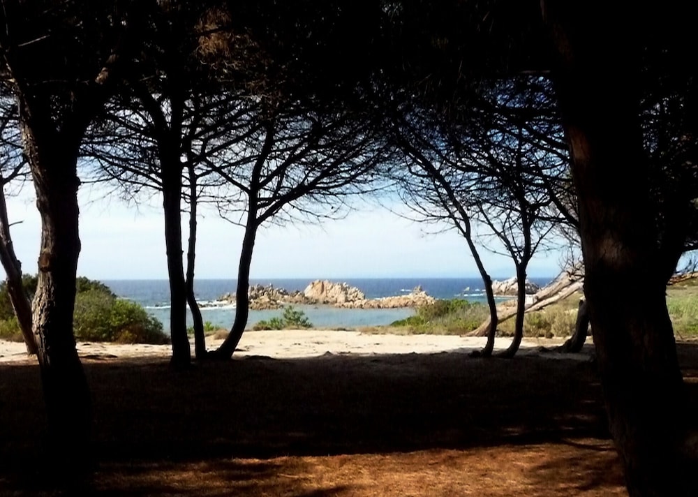 Cottage-apartment Surrounded By Unspoilt Nature On The Coast photo 4
