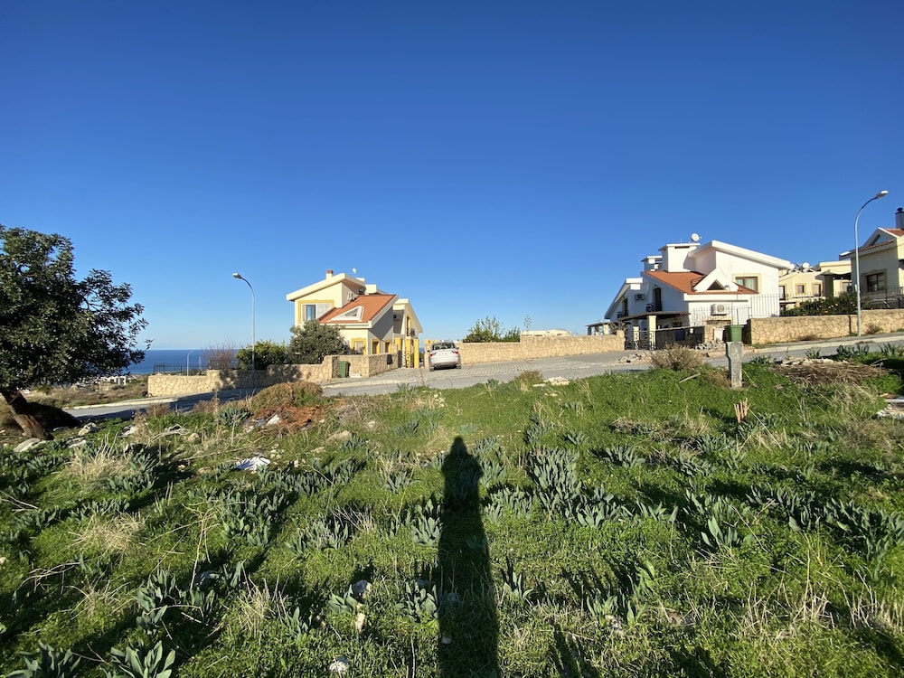 Photo 45