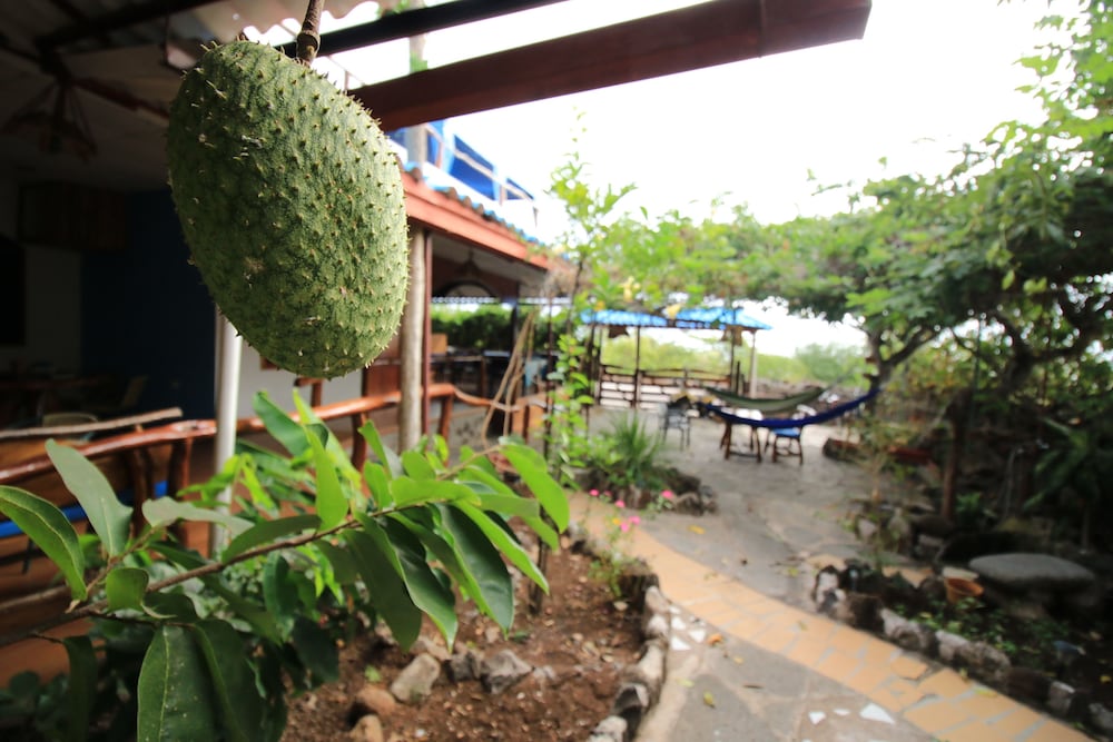 Casa Playa Mann