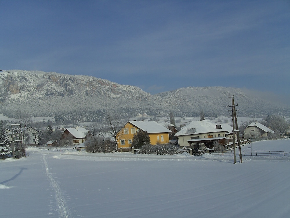 Photo 44