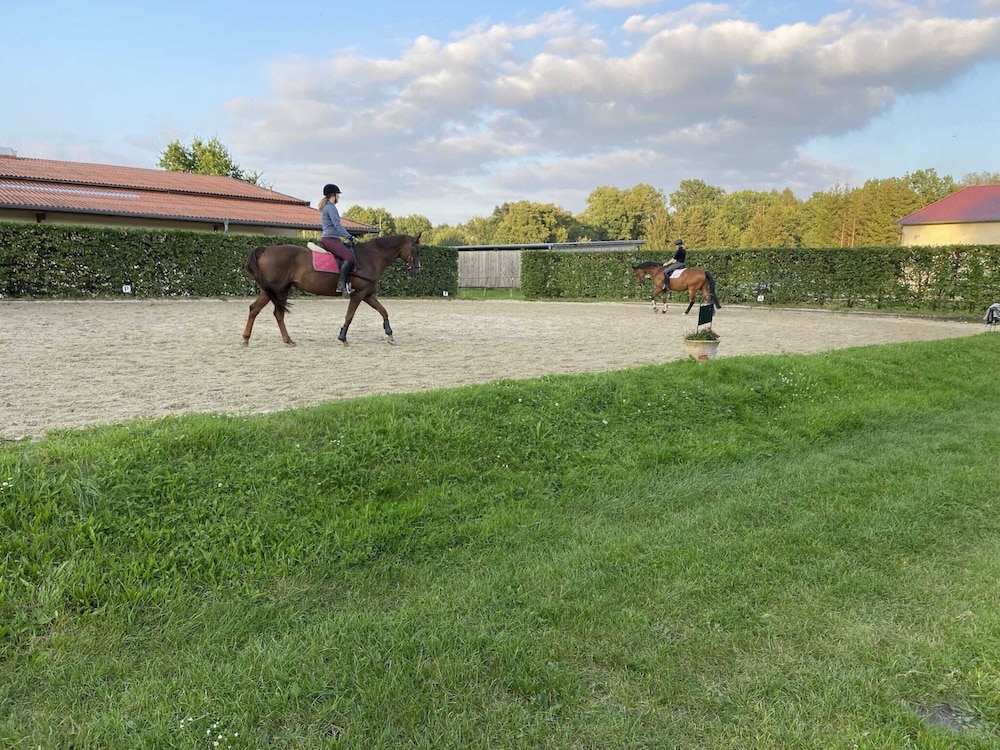 Cozy Holiday Home on a Horse Farm in the Luneburg Heath - Property Image 16