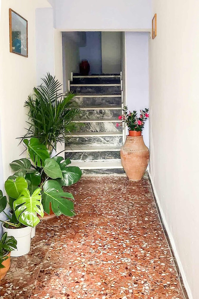 Dinas Apartment - Alonnisos Summer Haven