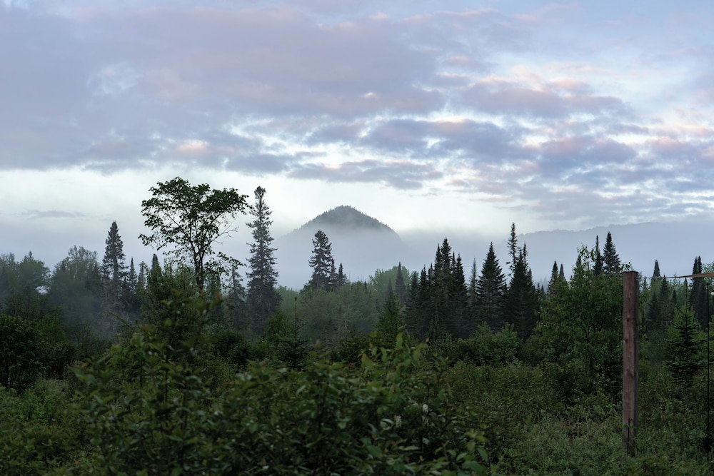 Farouche Tremblant