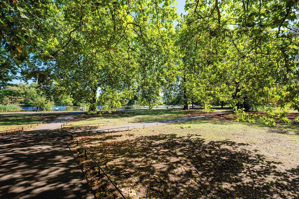 Lords Living -3 bed in Regents Park With Terrace