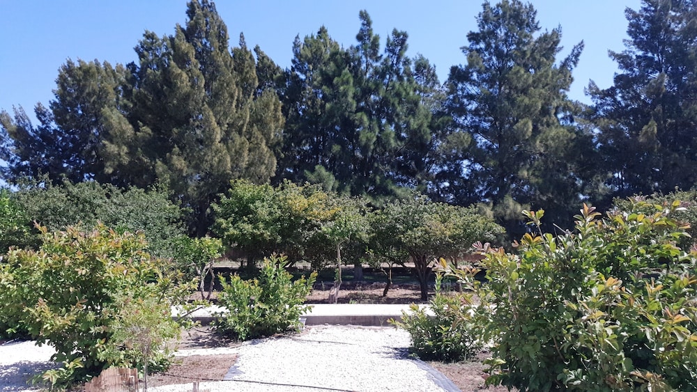 Quinta das Origens view 2
