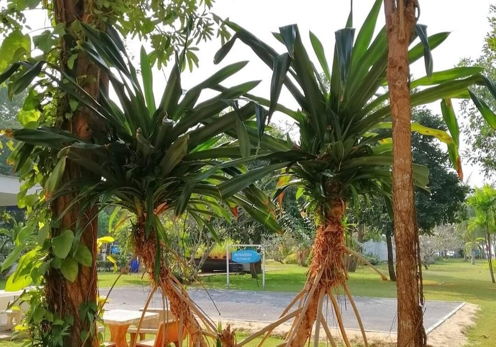 The Princess Beach Resort