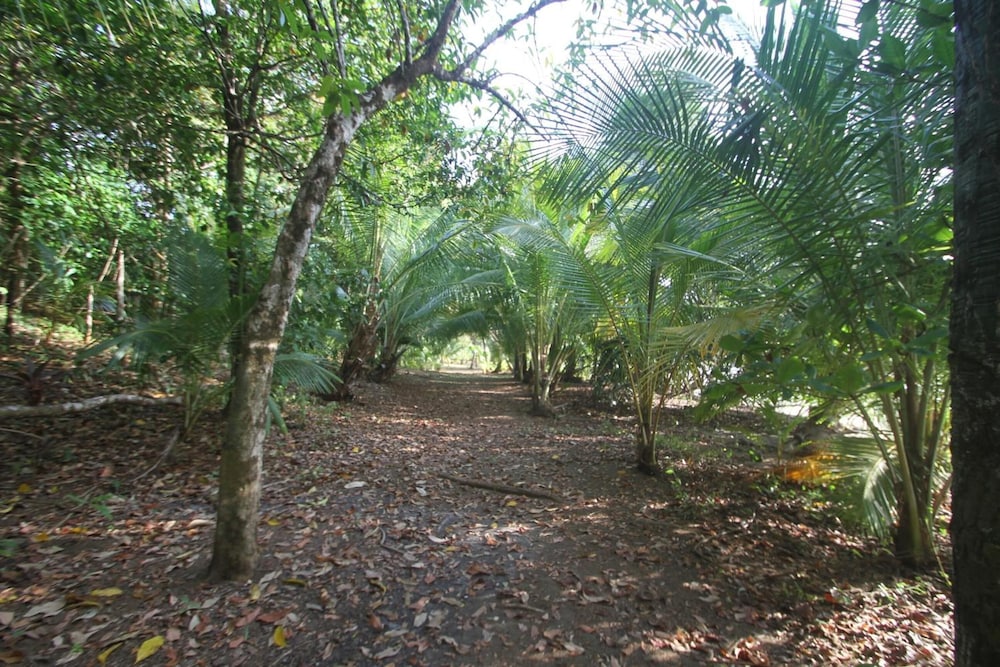 Camino del Sol